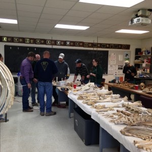 Michigan Assembly Clinic 2015 workshop